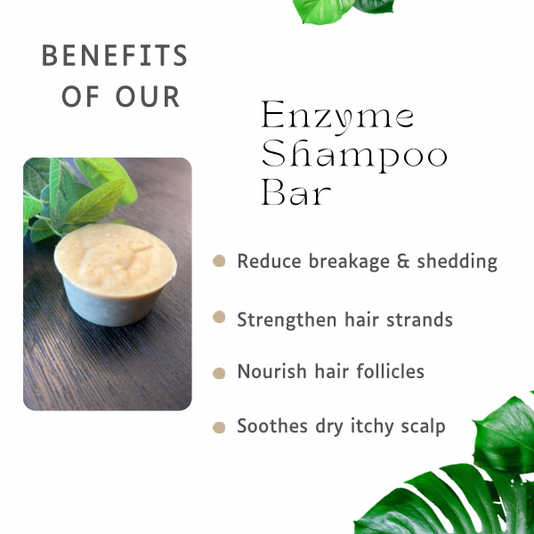 Bromelain Shampoo Bar