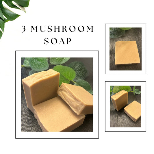 3 Mushroom Soap Bar